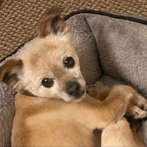 Meet your Posher, Mary